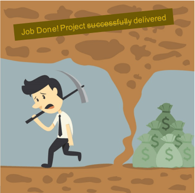  Why Program Management? 